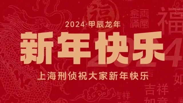 金龙腾飞,上海刑警803给您拜年啦~