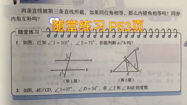 46 随堂练习 P53页 知识易解