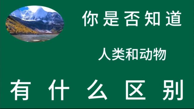 你是否知道 人类和动物 有什么区别