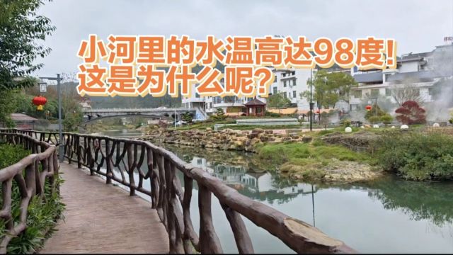 小河里的水温高达98度!这是为什么呢?这么神奇吗?