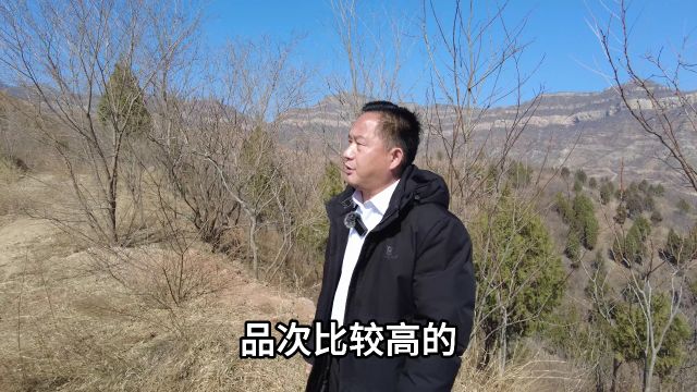 山地环境 弘扬国学传统文化