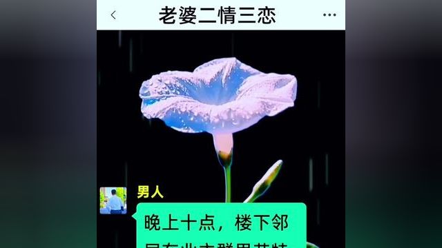 《老婆二情三恋》点击下方查看后续精彩内容