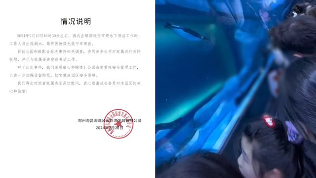 郑州海昌海洋馆通报潜水员溺亡:常规水下保洁时溺水,已与家属妥善完成善后工作