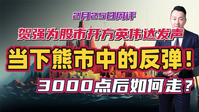 贺强为股市开方英伟达发声,当下熊市中的反弹!3000点后如何走?