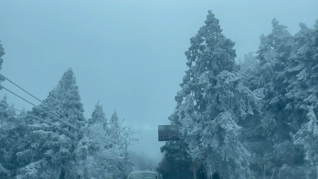 阖家闹元宵皓月照团圆美好皆如愿静待新春暖愿日子如清风明月愿八方心愿如愿以偿元宵节快乐————