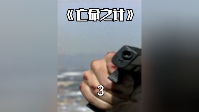 野哥是真的野