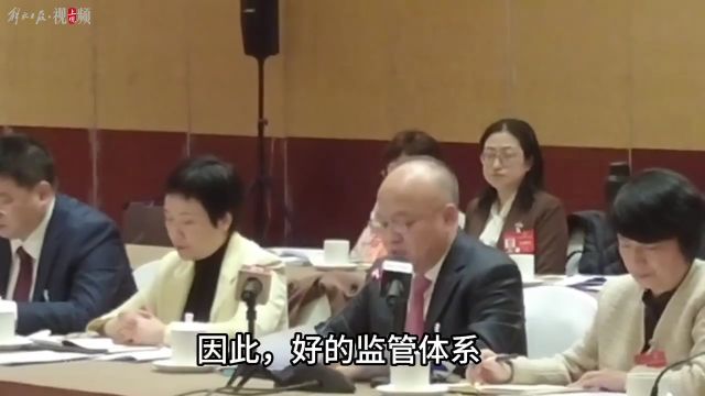 视频|朱建弟代表为“股市”呼吁:好的监管,不在于查处了多少大案要案