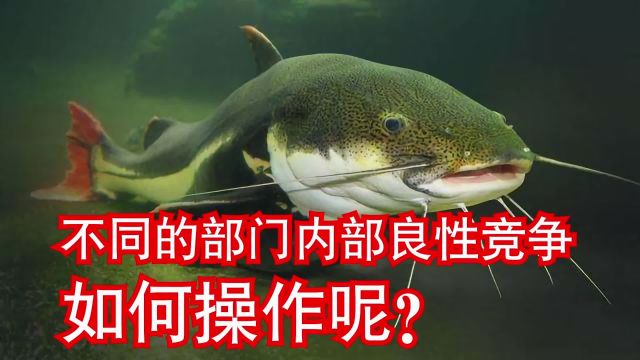 企业中不同的部门内部竞争,如何操作呢?分享8个要点,建议收藏