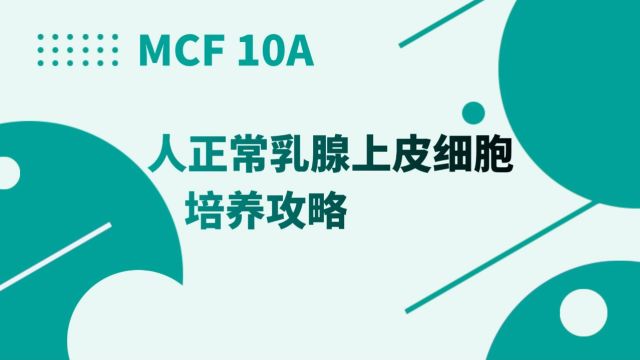 MCF10A细胞培养攻略