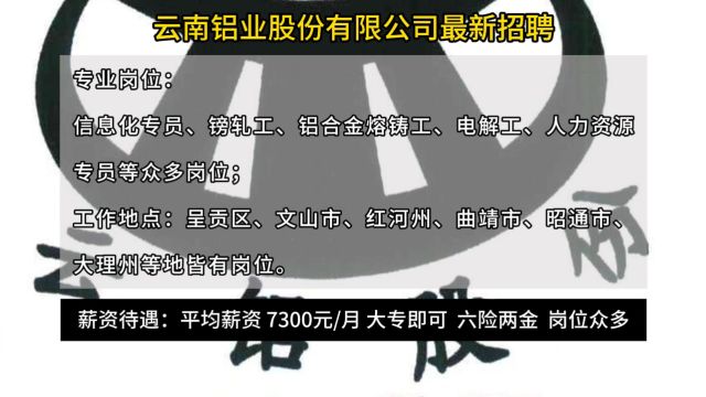 云南铝业股份有限公司2024年最新招聘!