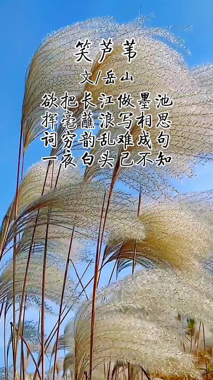 创作灵感 #自然风景 #芦苇 #原创诗词