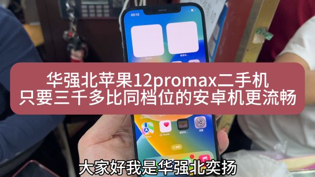 苹果12promax二手机