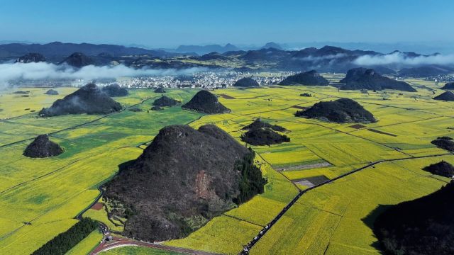 2024天天向上ⷤ𚑥—罗平第九届花海山地自行车赛