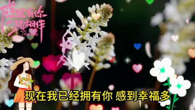 我们或许相隔千里,但那丝丝暖意依然存在,在这温暖的春季里溶化了我所有的思念