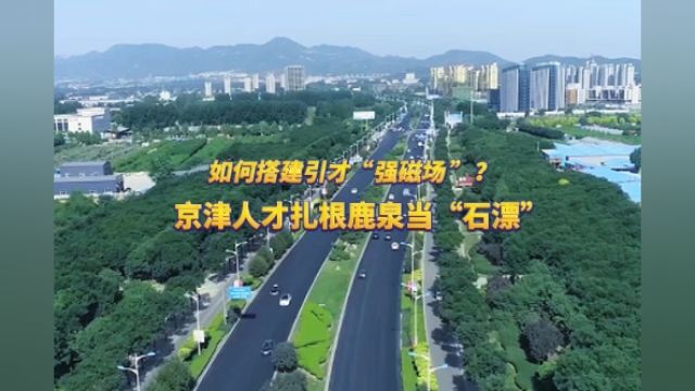 瓣瓣同心|如何搭建引才“强磁场”?京津人才扎根鹿泉当“石漂”