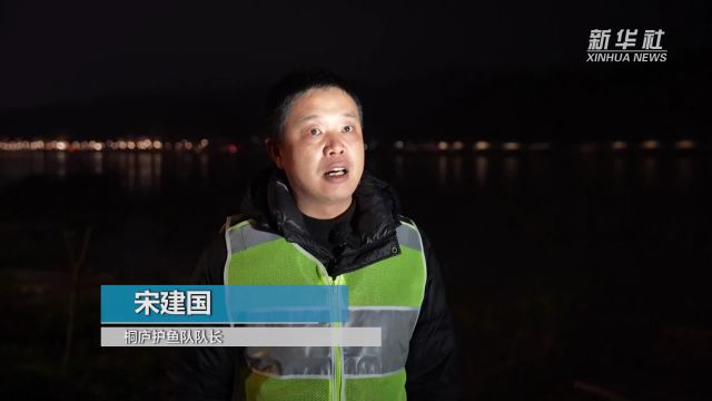 杭州桐庐:禁渔护鱼 守护一江春水