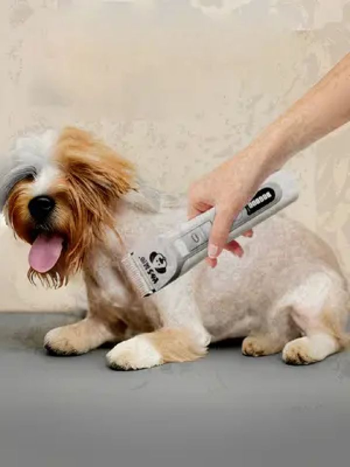 英绅宠物剃毛器#英绅宠物剃毛器#狗狗猫咪剪毛器#狗狗剃毛器 #充电式