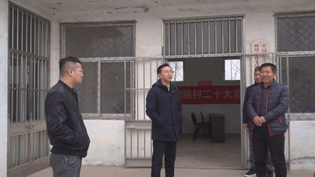 许德伟在博平镇开展“包乡走村”调研活动