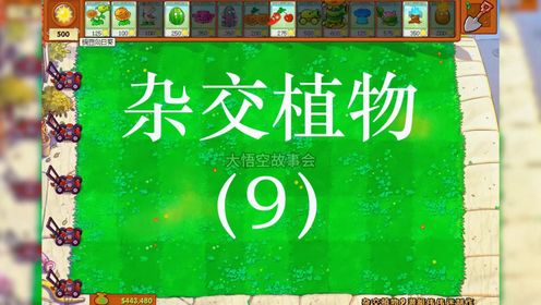 杂交植物9#植物大战僵尸#PVZ_高清