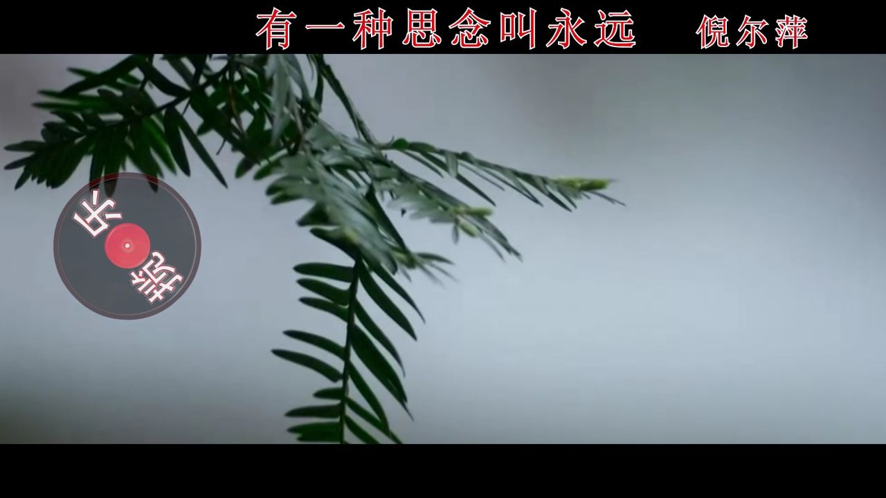 有一种思念叫永远