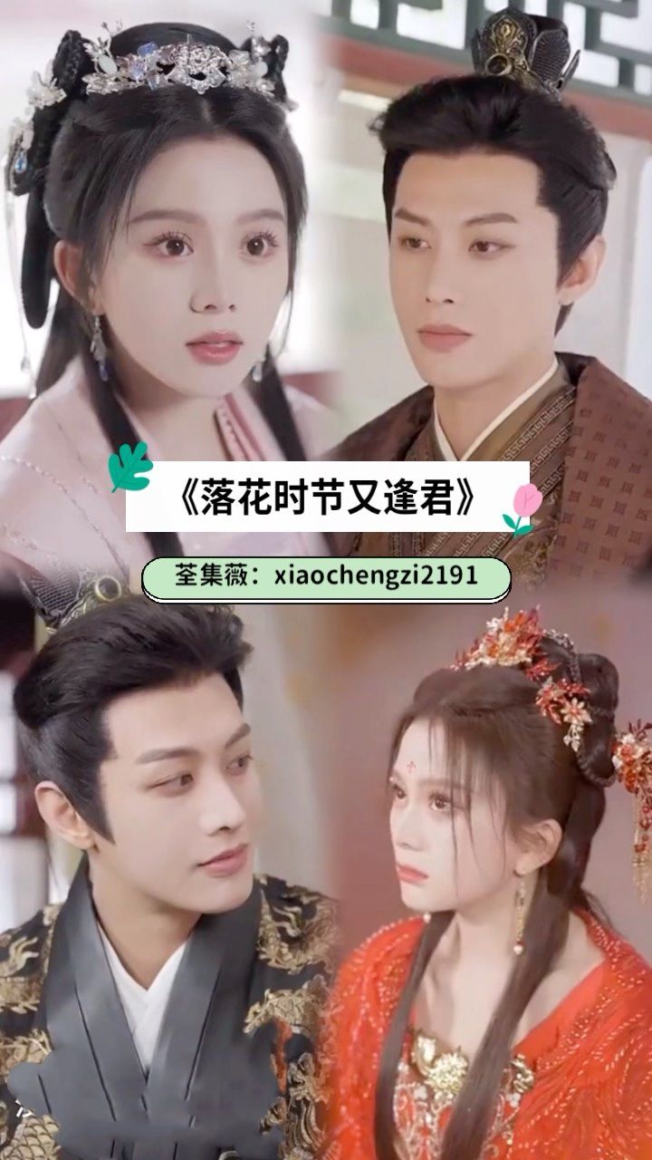 《落花时节又逢君》1-85集荃