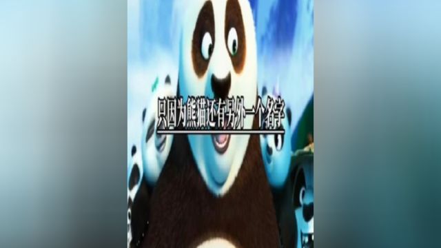 熊猫另外一个名字叫什么