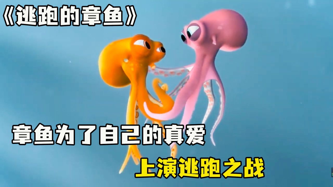 章鱼哥 的忐忑爱情路,结局神反转