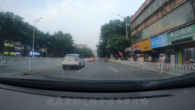 广东湛江行(49)