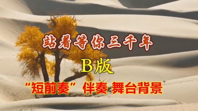 《站着等你三千年》伴奏短前奏B版舞台背景 5分23秒