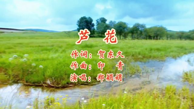 芦花 作词:贺东久 作曲:印青 演唱:郑颖娟