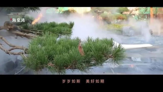 金杉海棠湾 | 空间哲学里的生活美学