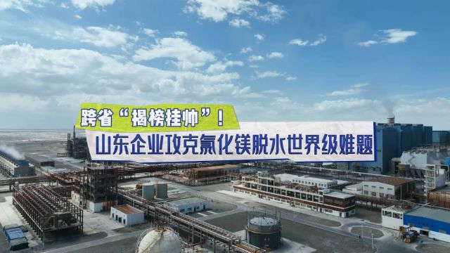 跨省“揭榜挂帅”!山东企业攻克氯化镁脱水世界级难题