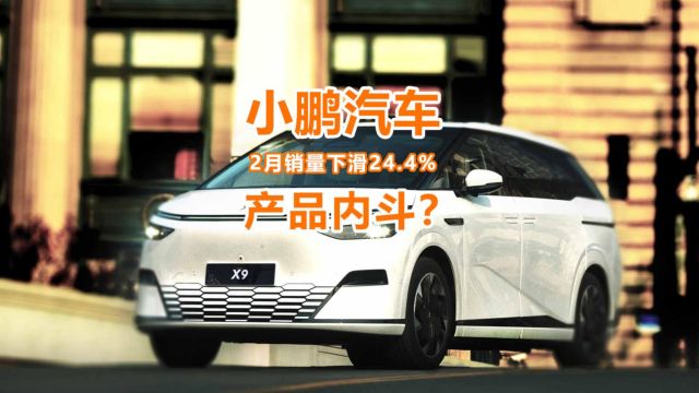 小鹏汽车2月销量下滑24%,网友:X9把G6干掉了?