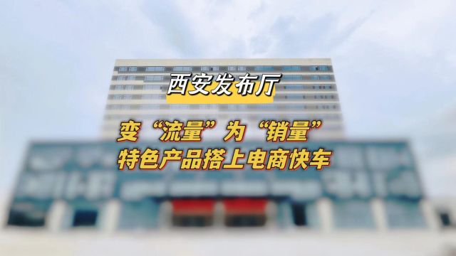 变“流量”为“销量”特色产品搭上电商快车