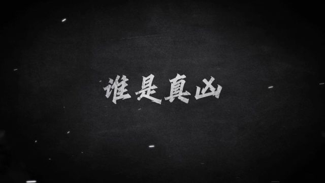 17年追凶“消失的他”,一双布鞋成关键证据|《高质效办好每一个案件》特别节目独家首发