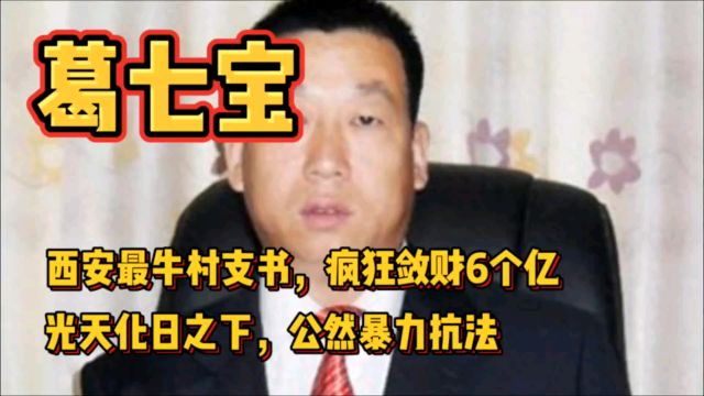 西安村霸葛七宝,名下8千套房产疯狂敛财6个亿,最终获刑24年