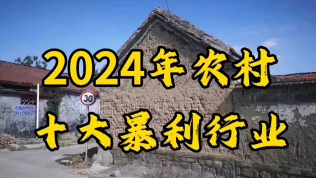 2024年农村十大暴力行业