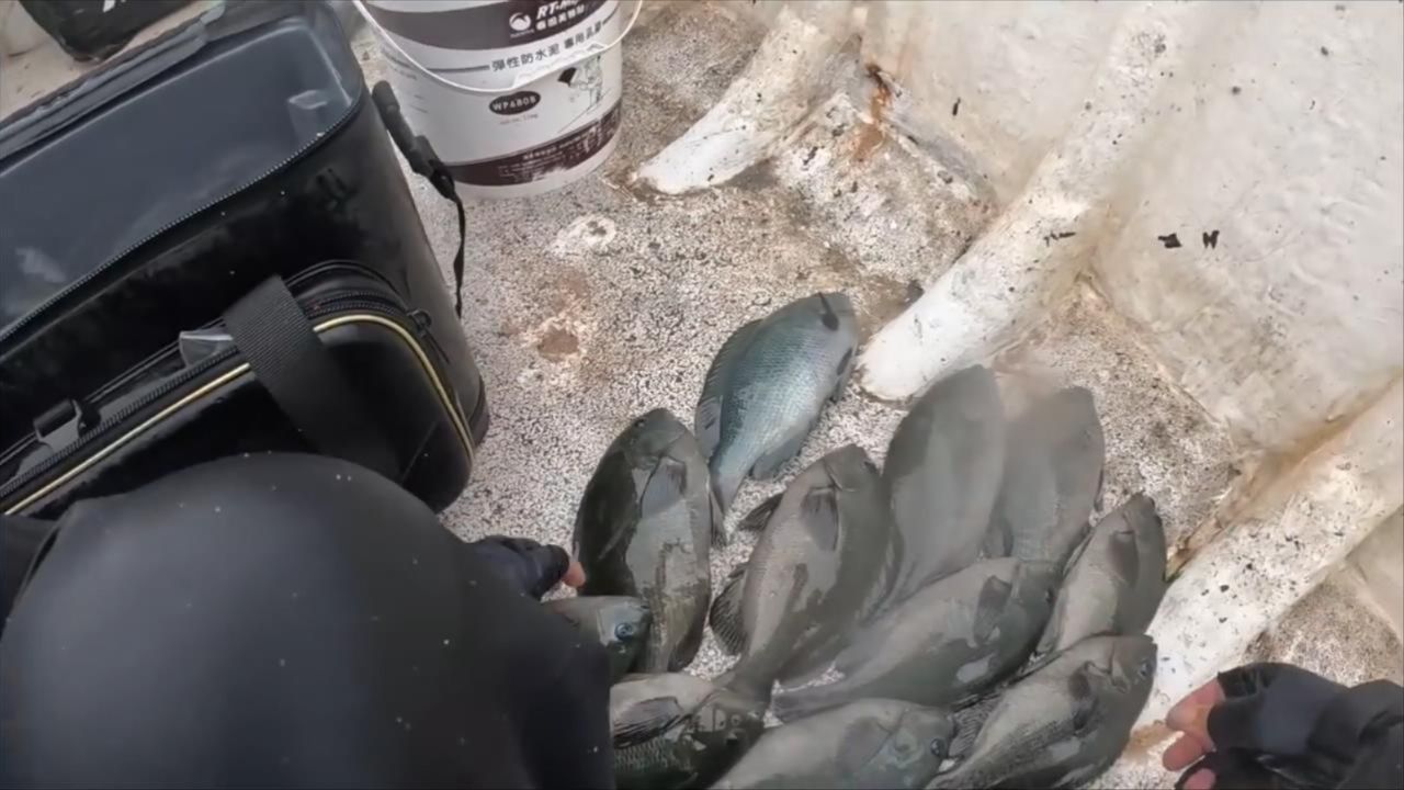开船海钓,神级钓点,什么鱼都有,大家都爆桶,黑毛鱼