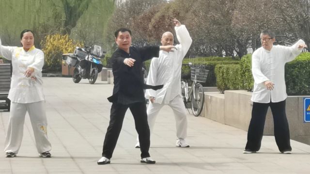 宋氏形意拳之松功