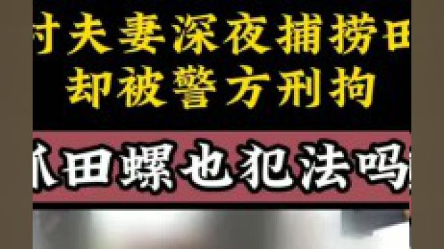 农村夫妻深夜捕捞田螺,却被警方刑拘,女子:抓田螺也犯法吗.下集更精彩未完待续 3