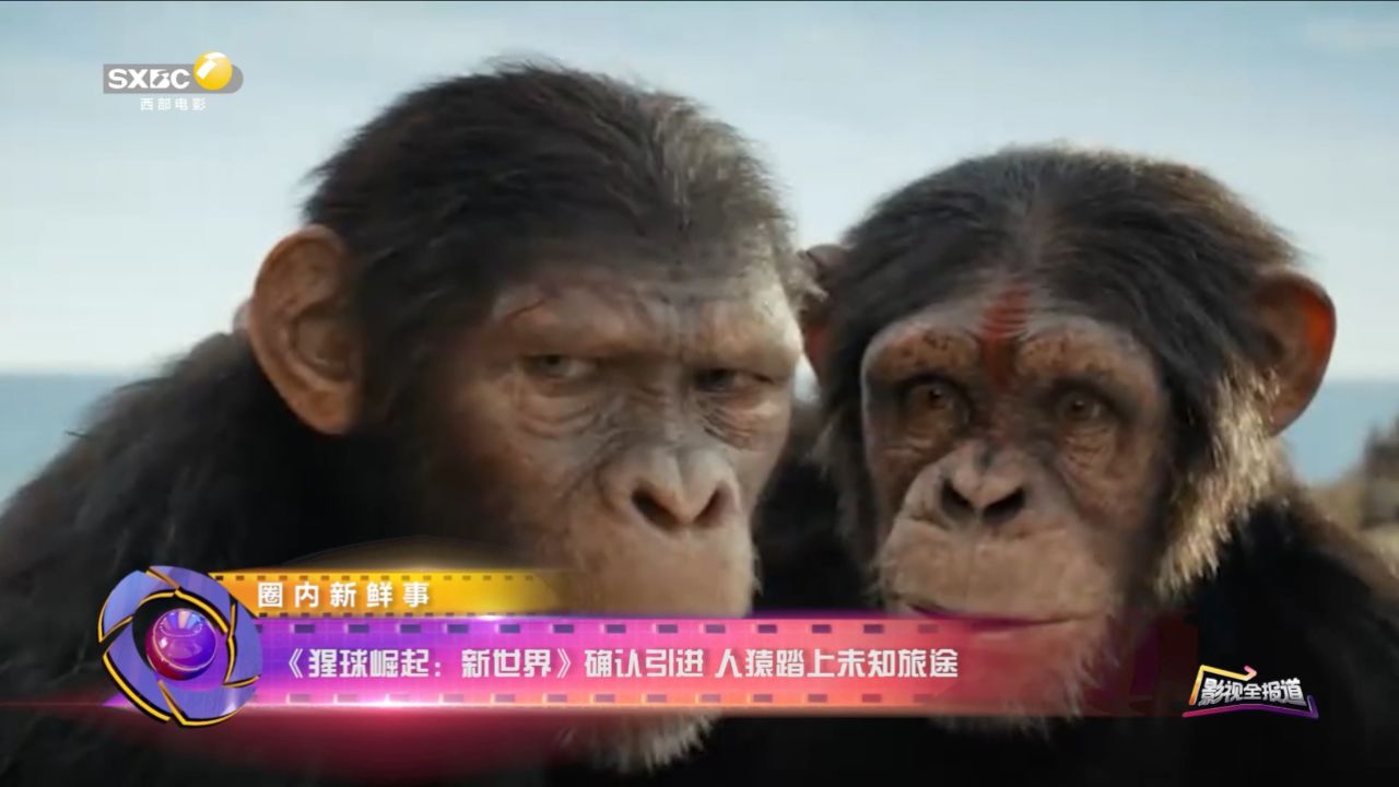 《影视全报道》|《猩球崛起:新世界》确认引进人猿踏上未知旅途_高清1080P在线观看平台_腾讯视频