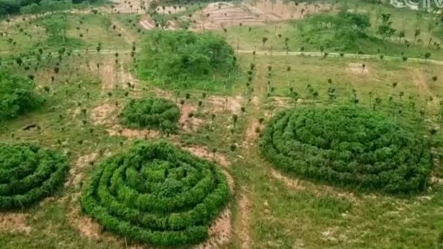 本来以为墓地上的土包是春秋战国时期的,没想到西周就已经有了