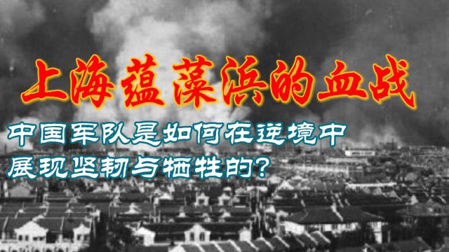 上海蕴藻浜的血战:中国军队是如何在逆境中展现坚韧与牺牲的?