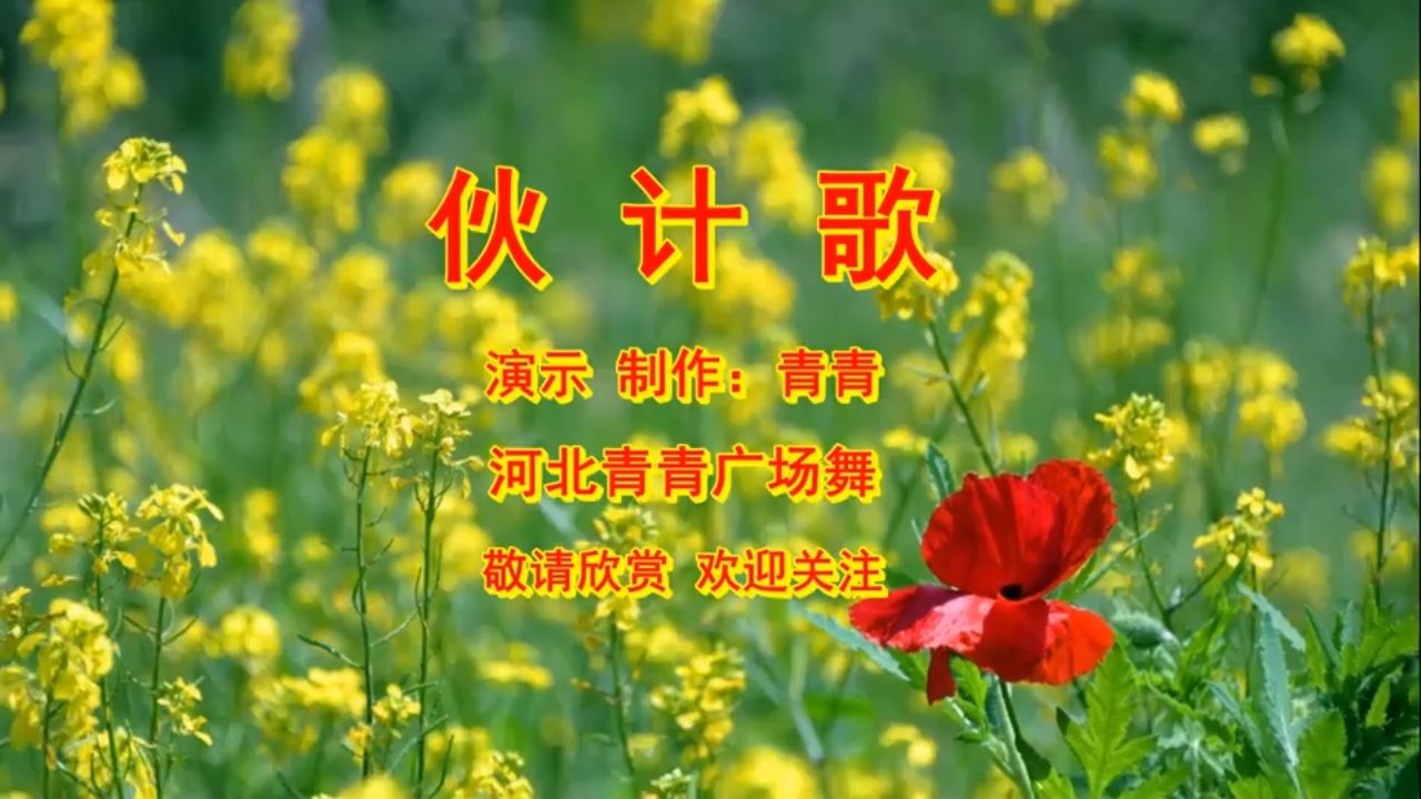 欢快喜庆的舞蹈;伙计歌.