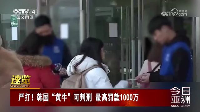 严打!韩国“黄牛”可判刑 最高罚款1000万