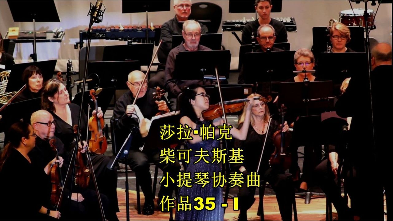 莎拉·帕克小提琴 柴可夫斯基-小提琴协奏曲,作品35 - i