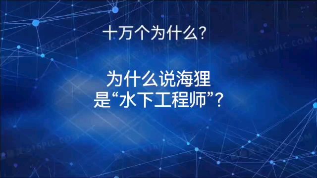 为什么说海狸是水下工程师?