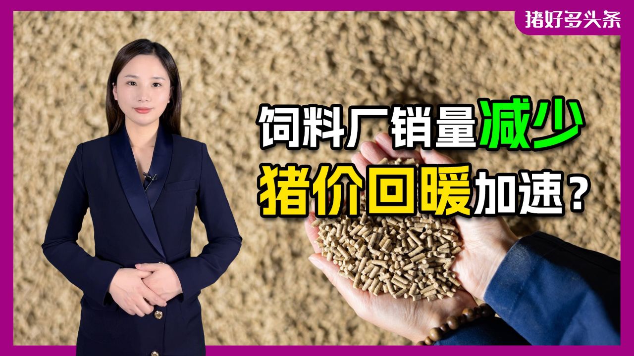 生猪减产,饲料降价,或推动养猪加快