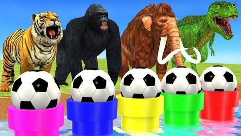 《动物奇幻世界第2季》第09集老虎野猪大猩猩恐龙打保龄球