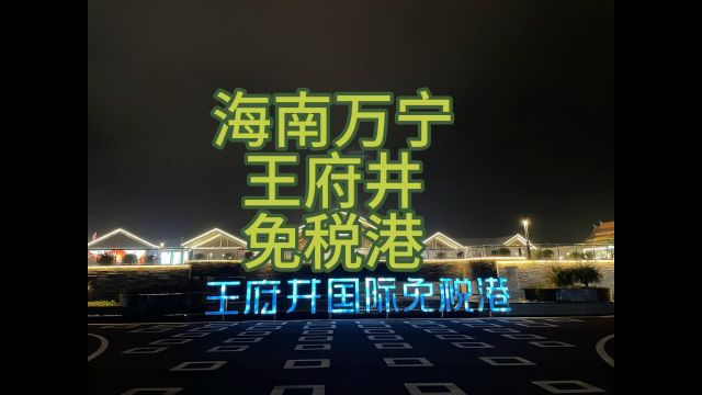 万宁王府井国际免税港